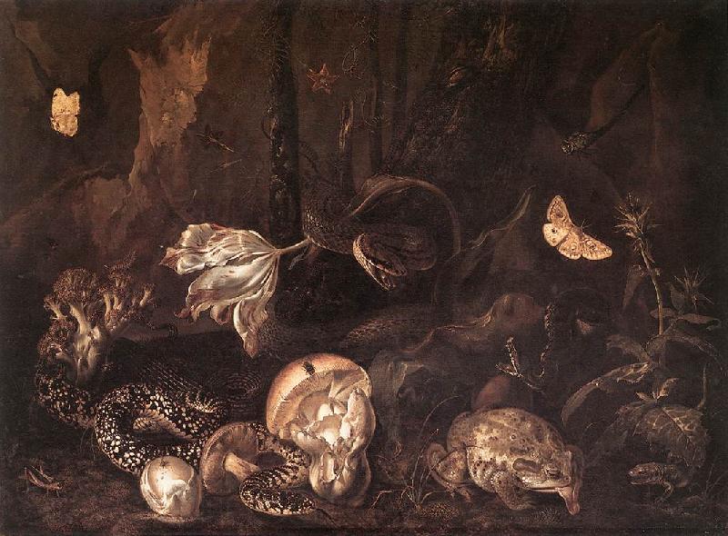 SCHRIECK, Otto Marseus van Still-Life with Insects and Amphibians ar Norge oil painting art
